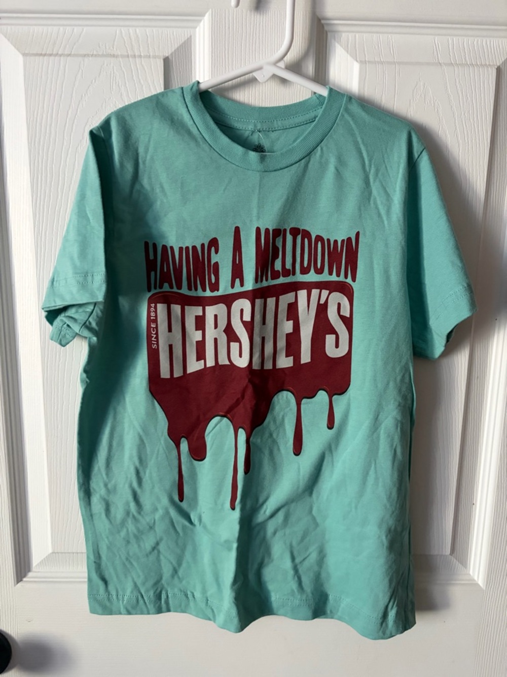 🆕 Hershey's "Having a Meltdown" Teal Graphic Tee from Hershey Park youth size M